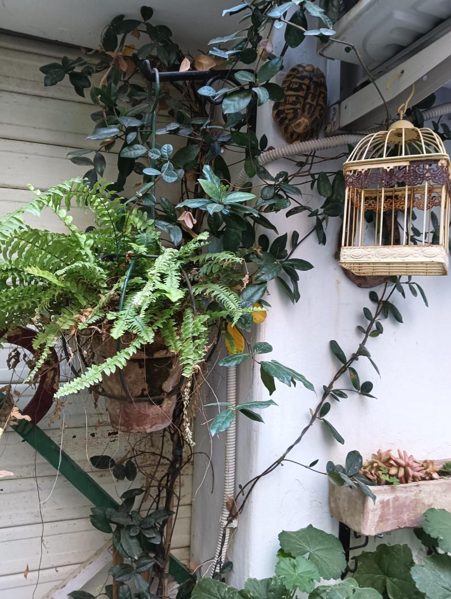 Daria'S Home Apartament 팔레르모 외부 사진